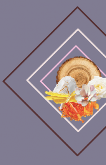 Refill for Wooden sticks Diffuser Firenze