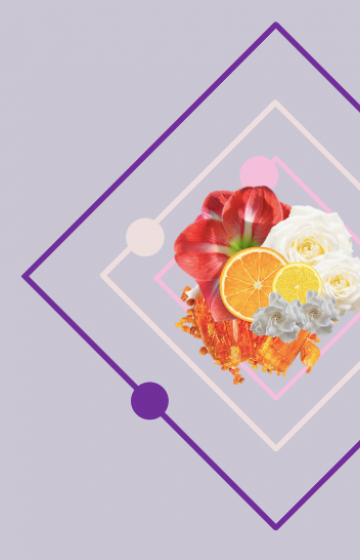 Refill for Wooden sticks Diffuser Milano